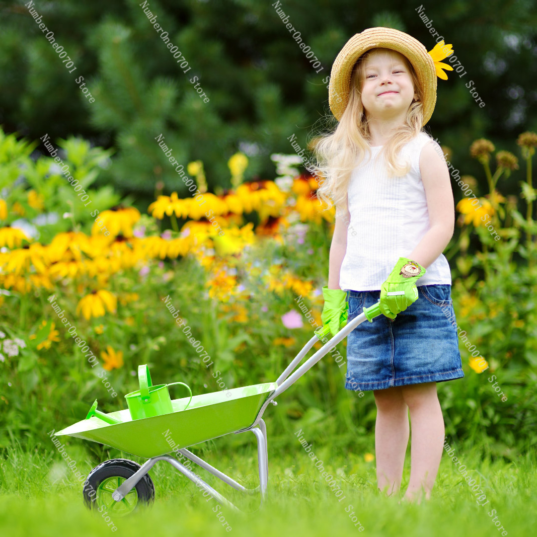 Kids Outdoor Wheelbarrow, Gree - Kids Outdoor Activity Toys 评论和价格