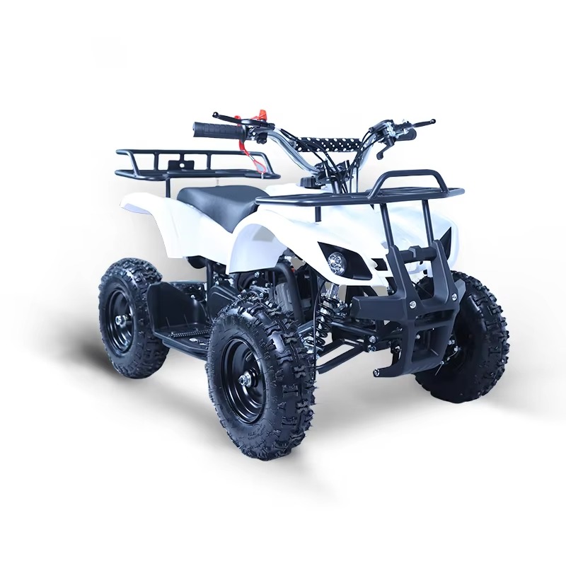 49cc Mini ATV Kids Quad Bike 2 - Kids Outdoor Quad 评论和价格