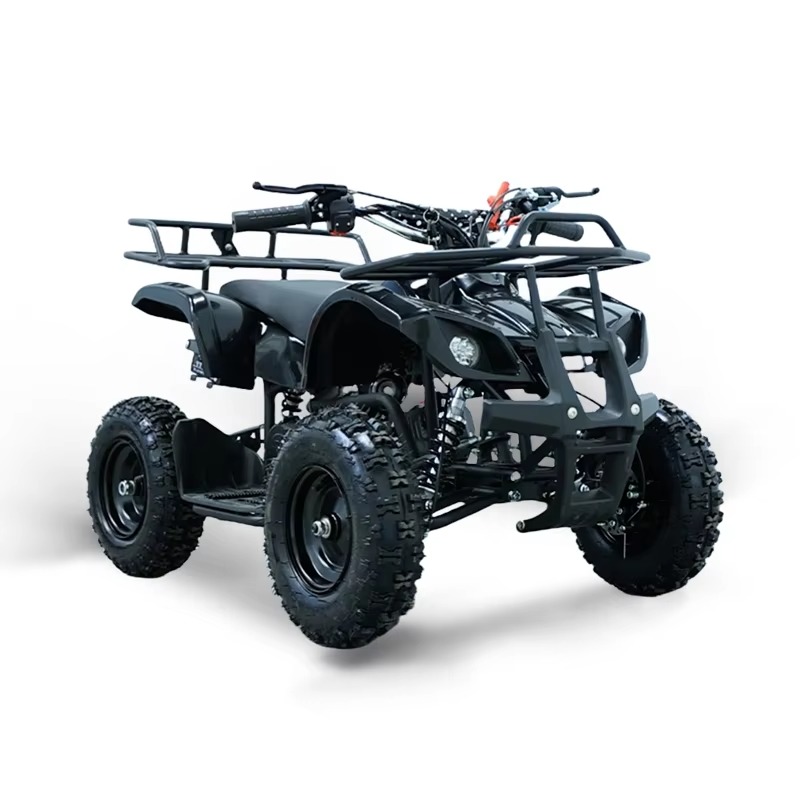 49cc Mini ATV Kids Quad Bike 2 - Kids Outdoor Quad 评论和价格